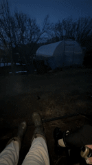 Village residents document everyday cat encounters in rural Russia