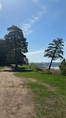 Morning nature walk documented along Votkinsk wetland boardwalk