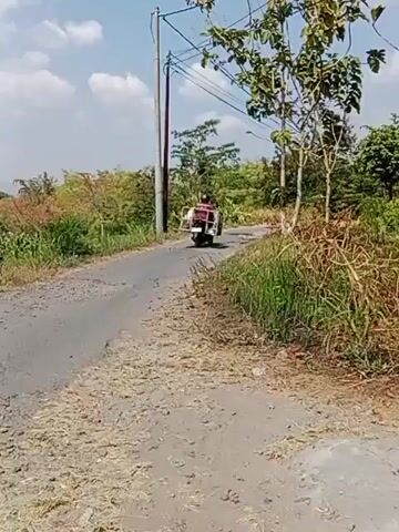 A three-wheeled scooter with a rider and passenger is turning a corner on a paved rural road. The road is cracked and has patches of gravel. The scooter is white with a red top. The rider is wearing a helmet and a dark shirt. The passenger is wearing a light-colored shirt and a helmet. They are traveling away from the camera. The surrounding environment is rural with lush green vegetation, tall grass, and trees. There is a utility pole with wires on the left side of the road. The sky is blue with some clouds. The scene is lit by sunlight.