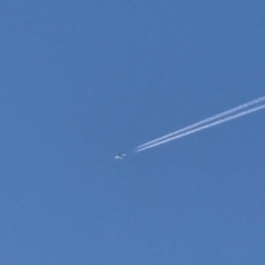 Quiet afternoon documented in Новостройка: meals, aircraft, garden views
