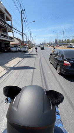 Motorcyclist with novelty cat-ear helmet rides Thailand road