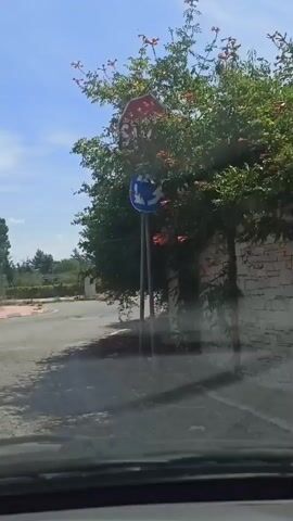 The video shows a view from inside a car driving on a road. The road appears to be a rural or semi-rural area with trees and vegetation on the sides. There are road signs visible, including a stop sign and a roundabout sign. A blue directional signpost with multiple destinations is also visible. The sky is clear and blue, indicating a sunny day. The road surface is asphalt and shows some signs of wear and tear. The car is moving, and the perspective shifts as it navigates the road.