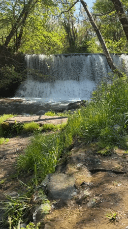 Waterfall and stream documented in Parvenets forest, Bulgaria