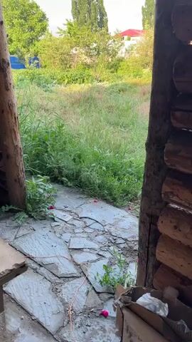 The video shows a view from within a wooden structure, looking out onto a grassy area. In the foreground, there is a stone floor with some debris and a cardboard box. The wooden structure appears to be made of logs. Beyond the opening, there is a field of tall grass and various trees. A house with a red roof is visible in the distance. The sky is blue with some clouds, and the lighting suggests it is daytime.