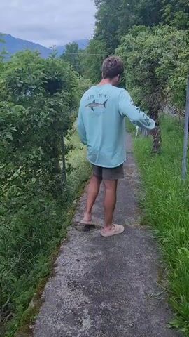 The video shows a man from the back, walking along a narrow concrete path. The path is bordered by lush green vegetation. On the left, there are low-lying bushes and trellises, while on the right, tall grass and a few trees are visible. The man is wearing a light blue long-sleeved shirt with a graphic on the back, dark shorts, and tan sandals. He briefly adjusts his glasses and then raises his right arm and points toward the trees. The sky is overcast, suggesting a cloudy or potentially rainy day. Mountains can be seen in the distance.