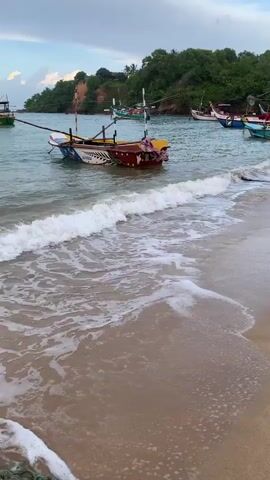 A short video clip shows a beach with several traditional fishing boats bobbing in the water. The water is a calm, greenish-blue, with small waves gently lapping onto the sandy shore. The boats are diverse in color and design, with some featuring elaborate paintwork and tall masts with flags. The shoreline is lined with lush green vegetation on a hill in the background. The sky above is overcast with clouds, suggesting it might be dawn or dusk. The camera pans slowly across the scene, giving a sense of the serene coastal environment. There are no people visible in the video.