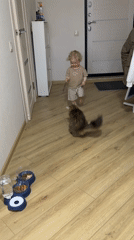 Toddler's afternoon playtime with family and pets in Vladimir home
