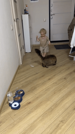 Toddler's afternoon playtime with family and pets in Vladimir home