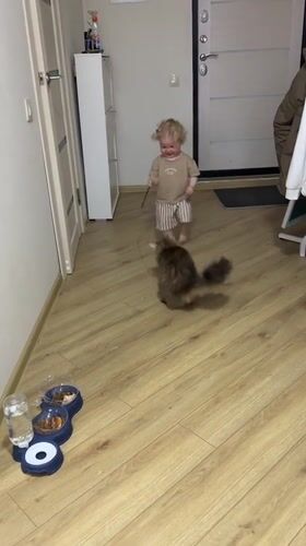 Toddler's afternoon playtime with family and pets in Vladimir home