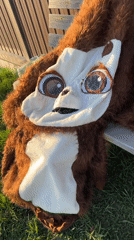 Animal costume left on bench as women gather