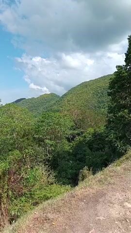 A still video captures a panoramic view of lush green mountains under a partly cloudy sky. The foreground features a dirt path and dry grass on the right side of the frame. The middle ground is dominated by dense foliage and trees, with varying shades of green indicating different types of vegetation. In the background, rolling hills covered in trees stretch towards the horizon. The sky is a vibrant blue, with scattered white clouds casting shadows on the landscape. The overall impression is one of natural beauty and tranquility.