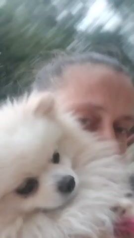 A person is holding a small white dog, likely a Pomeranian, in front of their face. The dog's face is partially obscured by its fluffy white fur. The person's face is also out of focus, with only their eyes and forehead clearly visible. The background is blurred and appears to be outdoors, with hints of brickwork and foliage. The overall impression is a candid, personal moment shared between the person and their pet. The lighting suggests it could be daytime, but the exact time of day and weather conditions are not discernible. There is no visible text in the media file.