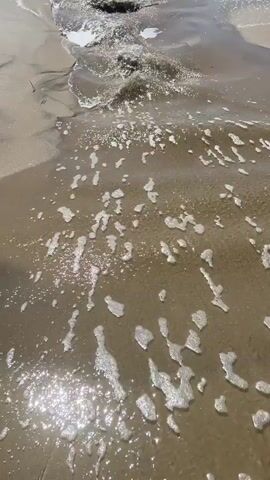 This video showcases a serene beach scene at Torreira, Portugal. The foreground is dominated by wet sand and gentle waves lapping at the shore, creating frothy patterns. The water is clear and reflects the sunlight, giving it a sparkling appearance. In the background, larger waves of the Atlantic Ocean are visible, with white crests indicative of a moderate surf. The sky is a clear, bright blue, suggesting a sunny day, likely in the afternoon given the angle of the sun. There are no people or specific objects visible, making it a natural landscape shot. The overall mood is tranquil and relaxing, emphasizing the beauty of the coastal environment. The camera is positioned at a low angle, close to the water's edge, providing an immersive perspective of the beach. No text is visible in the video.