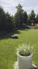 Resort day in Bania: pools, a robo-mower, and selfies