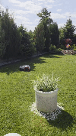 Resort day in Bania: pools, a robo-mower, and selfies