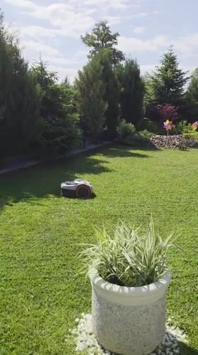 Resort day in Bania: pools, a robo-mower, and selfies