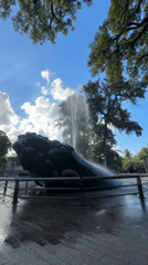 Wildlife spotted during evening visit to Buenos Aires park