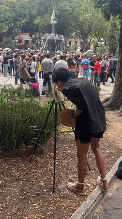 Evening street life captured across Puebla's public spaces