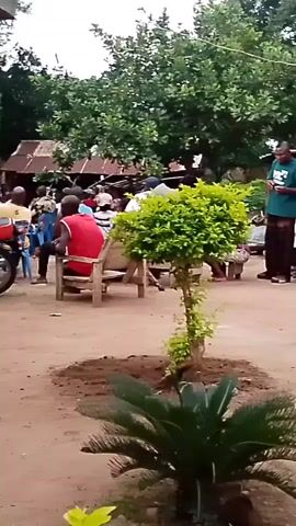 A group of people are gathered outdoors in what appears to be a rural or semi-rural setting. The ground is dirt, and there are trees and a building with a corrugated metal roof in the background. In the foreground, there is a small planted tree and a palm-like plant.

Several people are seated on wooden benches. One person, wearing a red shirt, is facing away from the camera. Another person, wearing a white shirt and a blue hat, is also seated. A man in a green t-shirt and brown pants stands near a building, holding what appears to be a phone or small object and looking down at it. A young child in a white dress stands next to him. A young boy in a plaid shirt and shorts stands further to the right, looking towards the man in the green shirt.

A young man in a white tank top and denim shorts walks from right to left across the scene, looking down at his hands. He is wearing flip-flops. Another young man in a blue shirt and shorts is seated on a motorcycle on the left side of the frame, facing towards the gathering.

A white chicken is pecking at the ground in the lower left quadrant of the image. The overall atmosphere seems to be casual and communal. The lighting suggests it is daytime, possibly overcast.