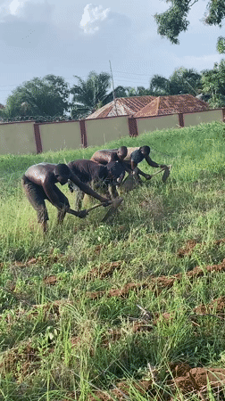 Agricultural workers till field manually in Akwanga, Nigeria