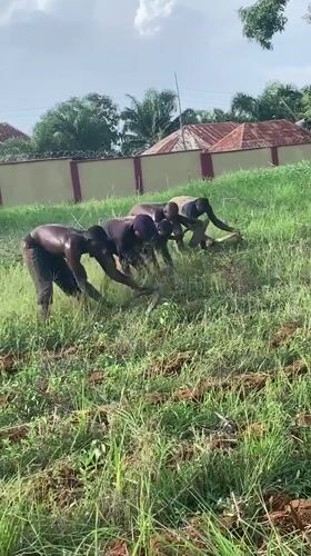 Agricultural workers till field manually in Akwanga, Nigeria