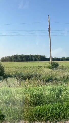 The video shows a view from a moving vehicle looking out at a rural landscape. The sky is clear and blue. A power line runs horizontally across the upper portion of the frame. In the middle ground, there is a large, open field with green grass and some scattered trees. In the foreground, tall green grass is visible, with some dry, lighter colored grass mixed in. The vehicle appears to be on a dirt road. A side-view mirror is visible on the left side of the frame, reflecting a person wearing a watch and holding their hands up.