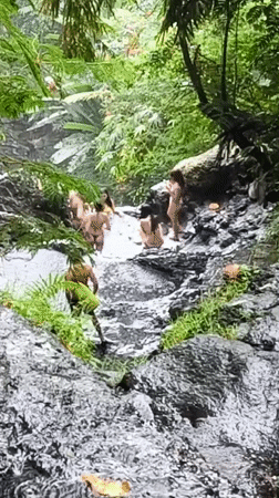 Women visit tropical waterfall pool in Sidemen, Indonesia