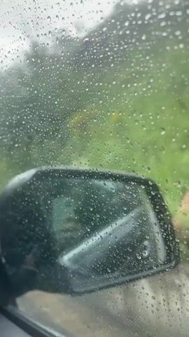 The video, captured from inside a vehicle, shows a rain-splattered window and a side mirror. The window is covered in numerous small raindrops, which slightly distort the view of the lush green vegetation outside. Through the raindrops, the blurry outlines of trees and foliage are visible, suggesting a natural, possibly rural or mountainous, environment. The side mirror, positioned in the lower-left portion of the frame, also has raindrops on its surface. The mirror reflects a portion of the vehicle's interior and a blurry figure, possibly a person, in the driver's or passenger seat. The overall scene conveys a sense of driving through a rainy, green landscape.
