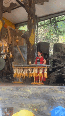 Traditional highland music and dance performance in Khanh Vinh