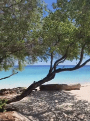 Tropical beach scene documented in Indonesia with seating arrangements