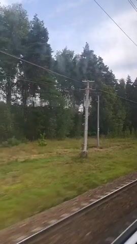 The video shows a view from a moving train. The train is traveling through a forested area with a grassy field on the left side. There are trees, power lines, and a utility pole visible. The train's interior is reflected in the window, showing a white and green stripe. The footage is slightly blurry due to the train's motion.