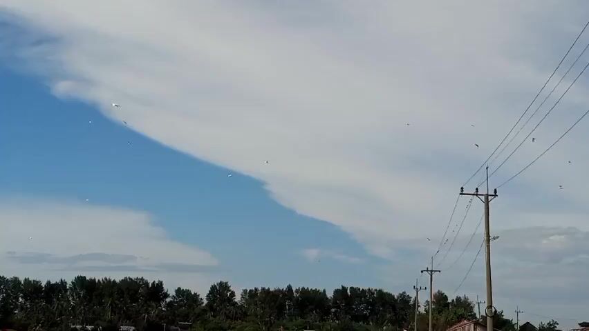 A video captured from a moving vehicle shows a wide view of the sky with scattered clouds and distant birds. A power line pole with wires is visible on the right side of the frame. In the lower part of the image, a line of trees borders a body of water on the left and a road on the right. The sky is predominantly blue with wispy white clouds forming a distinct, elongated shadow across the blue expanse. Several small white objects, likely birds or kites, are scattered throughout the sky. The scene suggests an outdoor, possibly rural environment on a clear day with some cloud cover.