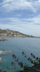 Coastal fortress and gardens documented during morning visit