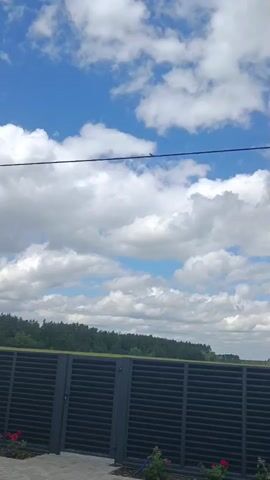 The video shows a dark fence in the foreground with a line of trees in the background under a bright blue sky with white clouds. A thin black wire stretches horizontally across the frame near the top, and a small bird is perched on the wire.
