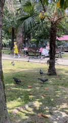 Families enjoy sunny morning activities in Sochi park