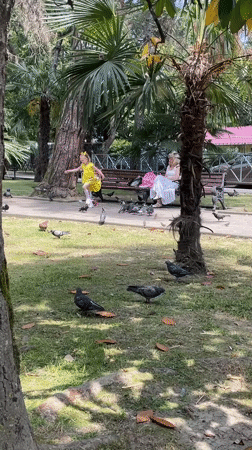 Families enjoy sunny morning activities in Sochi park