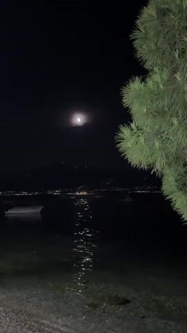 The video shows a nighttime view of a body of water, likely a lake or sea, with a full moon overhead. The moon's reflection shimmers on the dark water, creating a trail of light. In the background, distant hills are visible, dotted with lights from a town or city. On the right side of the frame, the branches of a green tree partially obscure the view. The foreground appears to be a pebble beach. The video is short, with no discernible action or people.