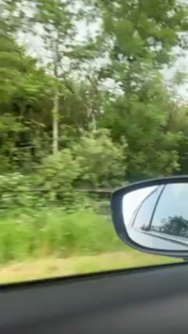 Here is a concise description of the video:

The video shows a view from inside a car moving along a paved road. The environment consists of green trees and fields visible outside the windows, with a cloudy sky overhead. The car's dashboard and side mirror are visible in the foreground. The road appears to be a country road with a light amount of traffic.