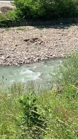 The video captures a scenic view of a river flowing through a valley in Krayevsko-Armyanskoye, Russia.

The initial shot at 0:00 shows a pale green or turquoise river with small rapids, flowing over a wide, rocky riverbed. The riverbanks are heavily vegetated with tall green grass and bushes in the foreground. A concrete retaining wall or embankment is visible on the opposite bank, and further back, dense green trees line the top of a small hill.

As the camera pans to the right from 0:01 to 0:03, more of the river and its rocky banks are revealed. On the far bank, beyond the concrete structure, residential buildings with multiple stories and some with red roofs become visible, nestled among trees. A small wooden staircase is briefly seen on the concrete bank.

The pan continues, showcasing the broader natural environment. Lush, densely forested hills rise steeply on both sides of the river valley. The river, still maintaining its light color, meanders through the landscape. A prominent tree with silvery-green foliage stands out on the far bank at 0:03.

The scene depicts a bright, sunny day, likely late morning or early afternoon, with clear blue skies. No people are visible, and there is no discernible text. The overall setting is one of natural beauty, with a mix of wild river and forested slopes alongside some human development. The river's appearance and the surrounding topography suggest a mountainous or hilly region.