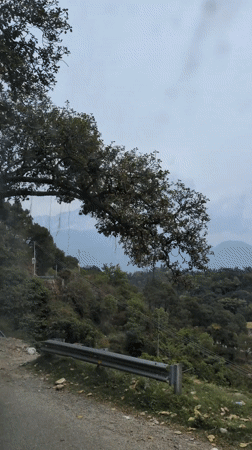 Motorcycle travels mountain road in Upper Skoh, India