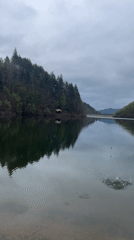 Peaceful lake scene documented in Bulgarian mountain region