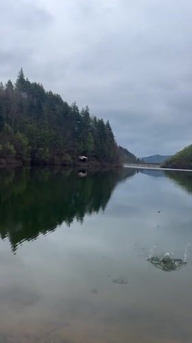 Peaceful lake scene documented in Bulgarian mountain region
