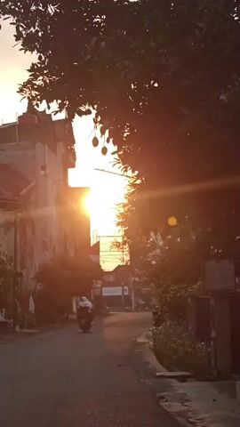 The video shows a street scene at sunset. The sun is low in the sky, casting a warm golden light. Trees line the street, their leaves silhouetted against the bright sky. On the left side of the street, there are buildings with tiled roofs. A person is riding a scooter down the street. The street is paved and appears to be in a residential area. There are some flags hanging from poles. The overall mood of the video is peaceful and serene.