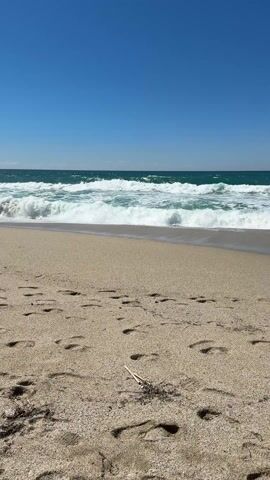 The video shows a beach on a sunny day. The sand is tan, and there are numerous footprints. A small piece of driftwood lies in the foreground. The ocean waves are turbulent, with white foam cresting over the water. The sky is a clear, bright blue with a few clouds on the horizon. The waves are approaching the shore, moving towards the camera.