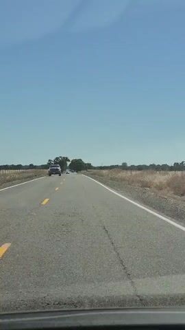 This is a first-person view from inside a vehicle traveling on a rural road on a clear, sunny day. The road is asphalt with yellow and white lane markings. Dry, golden fields with some scattered bushes and trees line both sides of the road, bordered by a wire fence on the right. In the distance, several other vehicles are visible on the road, including a white car in the center of the frame and a dark pickup truck in the left lane, ahead of the camera's vehicle. The sky is a vibrant, cloudless blue. The video appears to be taken during daylight hours.