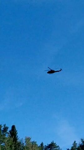 The video shows a silhouette of a helicopter flying in a clear blue sky. Below the helicopter, the tops of a dense forest of green coniferous trees are visible. The helicopter is dark and its rotors are spinning. The scene appears to be during the daytime.