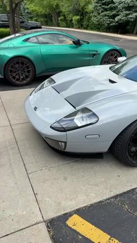 The video shows a light gray Ford GT parked next to a green Lamborghini Aventador SVJ Roadster in a parking lot. The Ford GT has black wheels and a black stripe along the bottom of the door. The Lamborghini has gold wheels and orange accents. The parking lot is surrounded by trees and bushes.