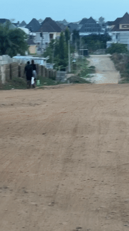 Developing Abuja neighborhood documented through 30 street-level observations