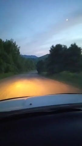 The video is filmed from the perspective of someone in a vehicle driving on a road at dusk or dawn. The headlights of the vehicle illuminate the road ahead, which appears to be a rural, unpaved or dirt road. Lush green trees and rolling hills are visible on either side of the road and in the distance. The sky is a gradient of blue and purple, with a faint crescent moon visible in the upper right corner of the frame. The vehicle's windshield and dashboard are visible in the foreground, indicating the point of view. The camera is in motion, suggesting the vehicle is driving forward.
