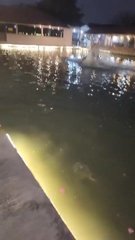 A nighttime video shows a calm body of water, possibly a pond or lake, with lights reflecting off its surface. Along the far edge of the water, a building with a covered patio area is visible, illuminated by strings of lights and interior lights. In the water, a fountain or water feature is active, creating a splashing effect. There are a few indistinct figures visible on the patio and near the water's edge. The camera appears to be positioned low, near the edge of the water, with a yellow light strip running along the foreground.